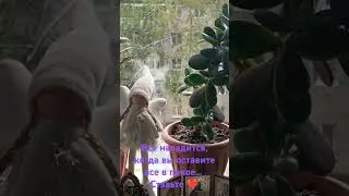 Все наладится, когда........ Ставьте❤С  любовью. Миа🧚‍♀️🪄✨