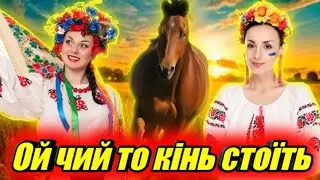 Ой чий той кінь стоїть - Кавер на Цимбалах