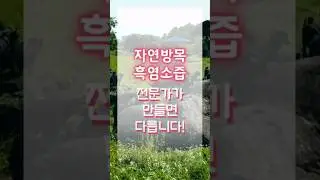 자연방목 흑염소즙 전문가가 만들면 다릅니다!!