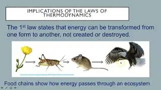 IB ESS Topic 1 3