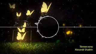Alexandr Shadrin - Теплая ночь (album version) ©