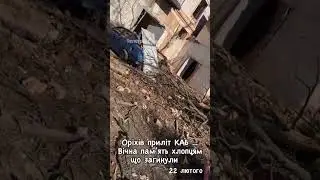 Орехов прилёт КАБов