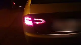 A4 B8 american blinkers (obdeleven)