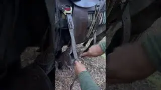 #bushcraft