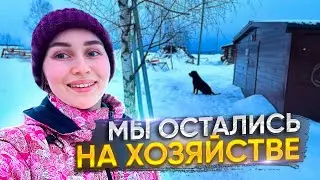 Про рекламу на Ютубе и мясных бычков! Между работой пообщаемся с вами! | Молодая Ферма