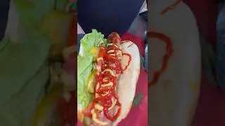 Шаурмдог#food #шашлык