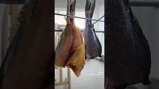 сушеная рыба.Дорадо 