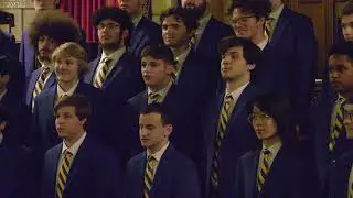The Wellerman - Pitt Men's Glee Club