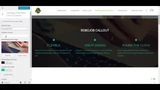 Changing Callout sections