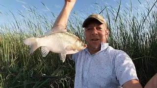 Карась На Удочку! Будем Изучать Этот Водоем!