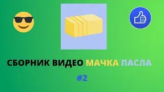 СБОРНИК ВИДЕО МАЧКА ПАСЛА | МАЧКА ПАСЛА ВИДЕО #2