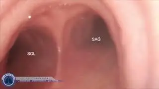 BRONKOALVEOLAR LAVAJ VE BRONKOSKOPI: NASIL YAPILIR?