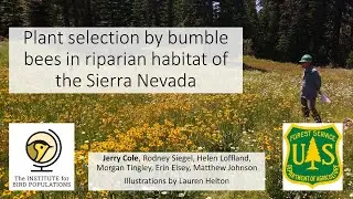 Plant selection by bumble bees in montane riparian habitats of California.