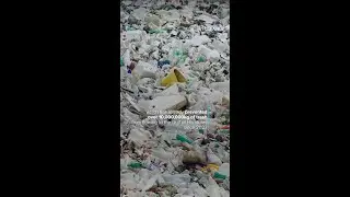 Ambition to Restore One of the Most Plastic-Polluted Places on Earth: Interceptor 021 #Shorts