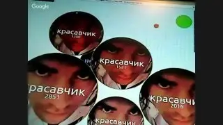 Чашка петри стрим