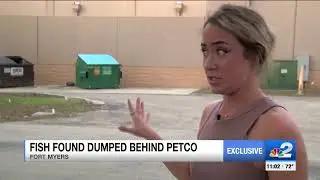 Live Animals Found Thrown In Dumpster Behind Fort Myers PETCO