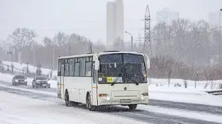 Кавз 4238-42, Р 656 КЕ 72, маршрут 505в