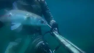 Подводная охота июль 2019