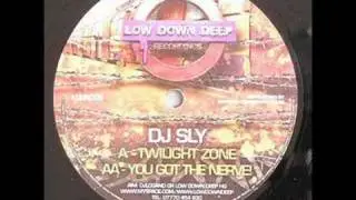 DJ Sly - You Got The Nerve