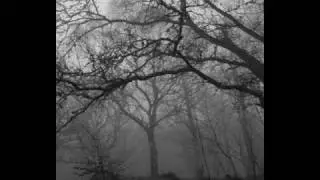 Liliths cry