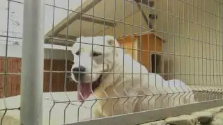 Туркмен Кала Сакар