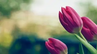 Кардио тайм