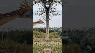 sabko bakra eid mubarak ho special video pyare baba bakra dila do 