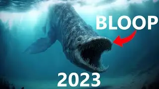 EVOLUTION OF BLOOP