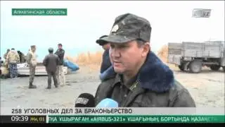 258 уголовных дел за браконьерство возбуждено на юге Казахстана