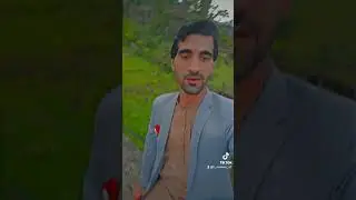 wachawa lawang rata pa jaam ki by karan khan shorts green home land