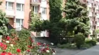 NGO Prowadzące Działalność Gospodarczą