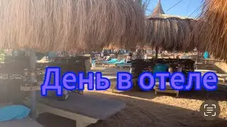 Египет март 2024 🇪🇬Aladdin Весь день провели в отеле День- релакс
