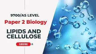 Lipids & Cellulose | AS Level - P2 | Biology with Dr Lakho