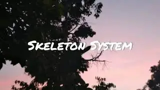 #mediapembelajaran #skeletonsystem #sistemrangka #ipaclasswtmissmira #ipaclasswithmissmira #tulang