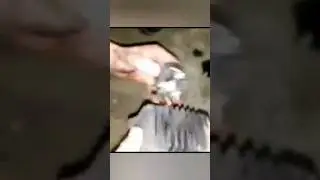 негоняйте пацаны !