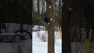 НАХУХЛИЛИСЬ, ЗИМА, ХОЛОДНО