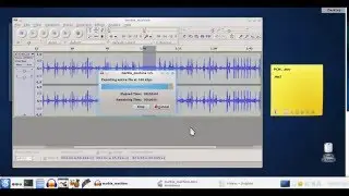Remove audio from a part of a video in Avidemux and Audacity.