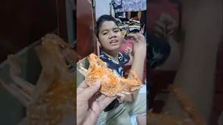 Fariz ternyata takut sama kepiting #shorts