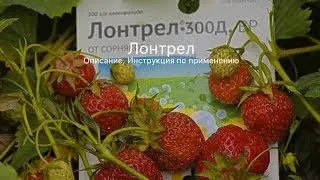 Лонтрел. Инструкция. Применение гербицида