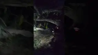 Dangerous Jungle Offroading at Night..Zanah kan offroad 