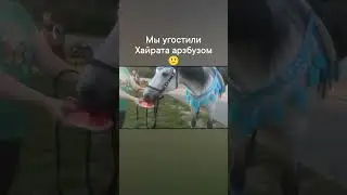 На пикнике встретили этого красавца.