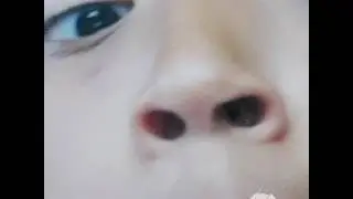 Pptty