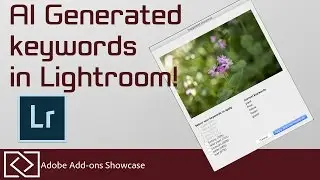 Cloud Tagger - Automated tagging in Lightroom!? - Adobe Add-ons Showcase