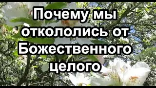 Почему мы откололись от Божественного целого