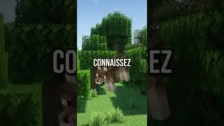 Des nouveaux LOUPS sur Minecraft 😍 