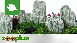 Aquarium Dekorations-Set - Glimmer Wood Rock | zooplus