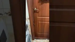 #доберман #собака #добермания #doberman #доберманы #funny #приколы