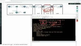 25 OSPF Advanced Topic 1   LSA Type 7 OSPF 7类LSA