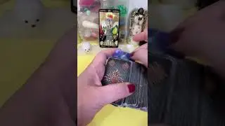 What secret are they hiding from you? Celias Tarot￼