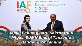 Jajaki Peluang Baru Sektor Hulu Migas, BUMN Energi Tanzania Gandeng Pertamina